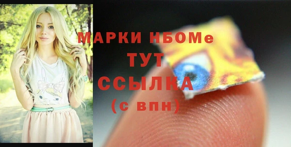 индика Арсеньев