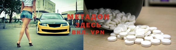 индика Арсеньев