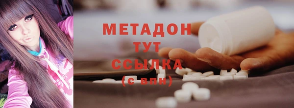индика Арсеньев