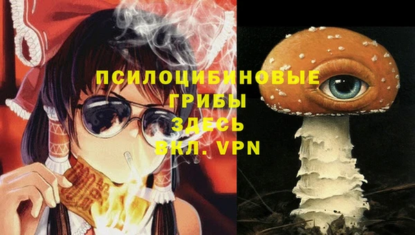 индика Арсеньев