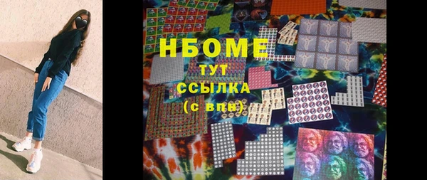индика Арсеньев