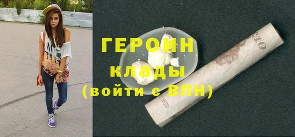 индика Арсеньев